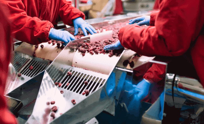 Food Industry: Ensuring Quality and Operational Excellence